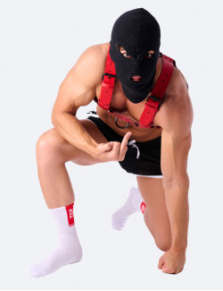 Chaussettes SneakXX - "Top"