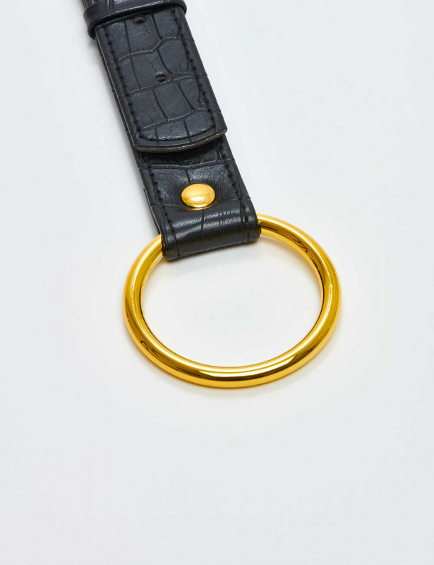 Kit Pinces Tétons Et Cockring Penitentiary détail anneau pénien