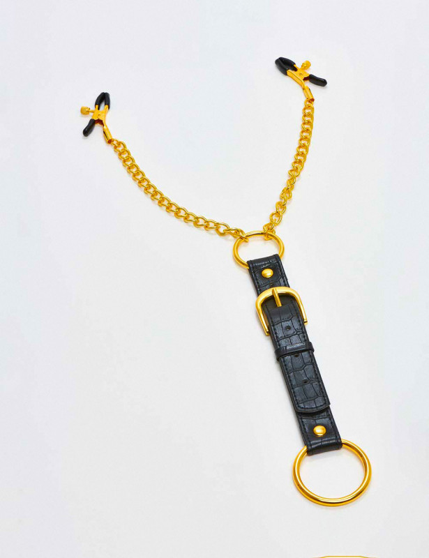 Kit Pinces Tétons Et Cockring Penitentiary