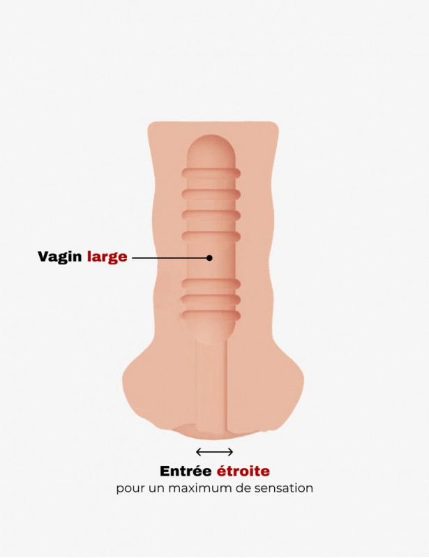 Intérieur de la vaginette Masturbateur réaliste First date