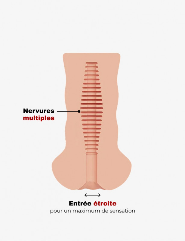 Intérieur de la gaine de la vaginette anale réaliste Fuck hole
