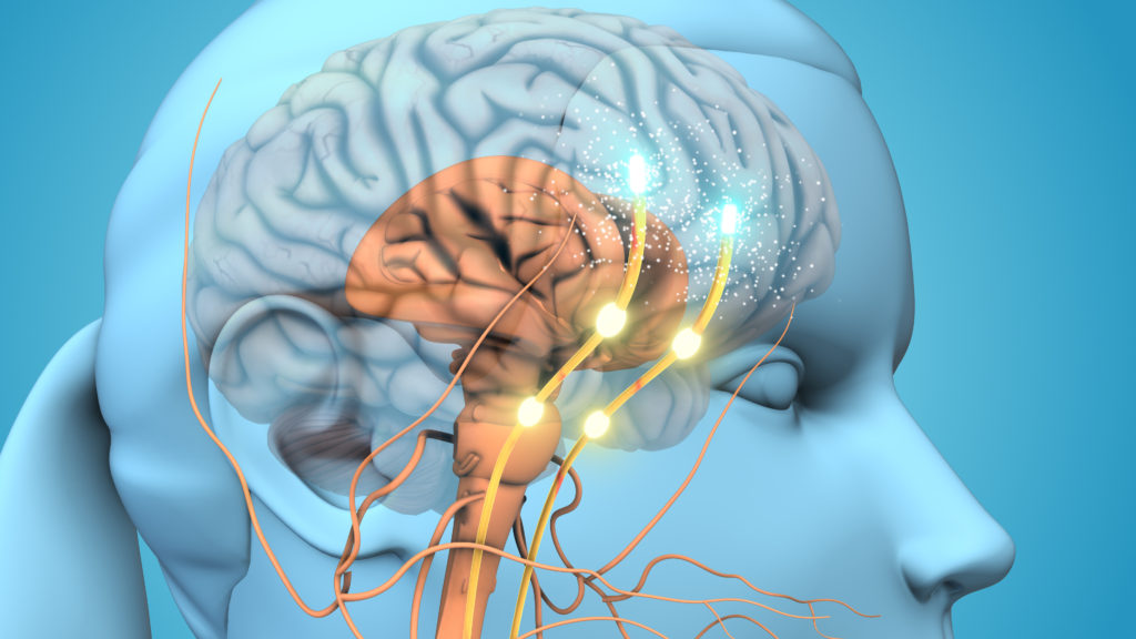 cerveau d'une femme pendant l'orgasme