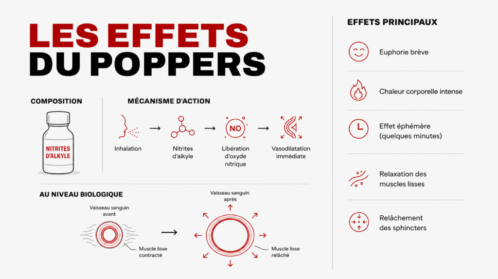 infographie sur les effets du poppers & fonctionnement du poppers
