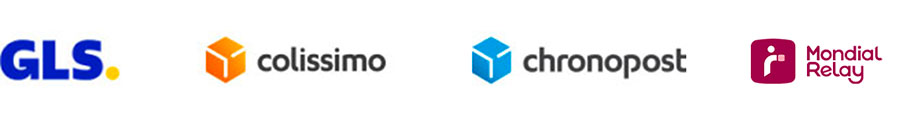 transporteur logo